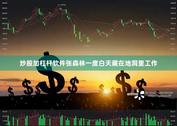 炒股加杠杆软件张森林一度白天藏在地洞里工作
