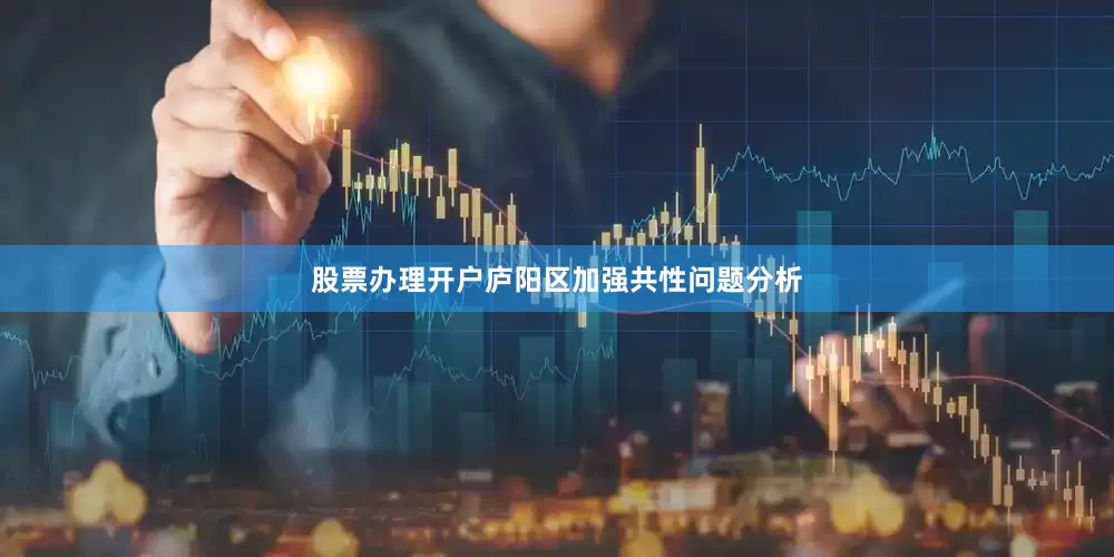 股票办理开户庐阳区加强共性问题分析