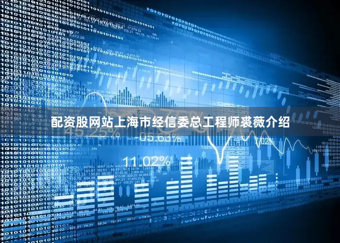 配资股网站上海市经信委总工程师裘薇介绍