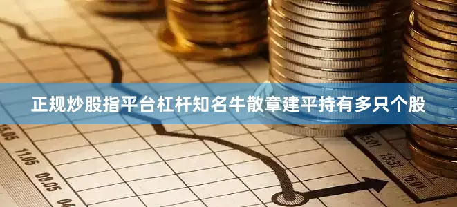 正规炒股指平台杠杆知名牛散章建平持有多只个股