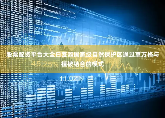 股票配资平台大全白芨滩国家级自然保护区通过草方格与植被结合的模式