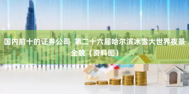 国内前十的证券公司  第二十六届哈尔滨冰雪大世界夜景全貌（资料图）