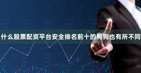 什么股票配资平台安全排名前十的狗狗也有所不同